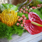 Creative Décor